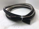 Front door rubber seal