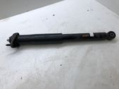 Rear shock absorber/damper