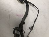 Other wiring loom