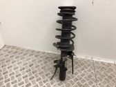 Front shock absorber with coil spring