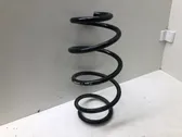 Front coil spring