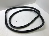 Front door rubber seal