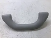 Front interior roof grab handle