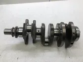 Vilebrequin du moteur