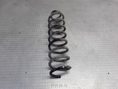 Rear coil spring