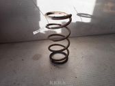 Front coil spring