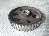 Fuel pump gear (pulley)