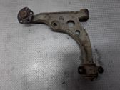 Front lower control arm/wishbone