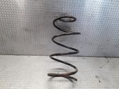 Front coil spring