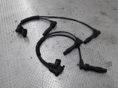 Ignition plug leads