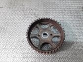 Engranaje de la bomba de combustible (polea)