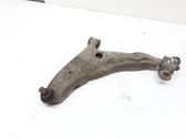 Front lower control arm/wishbone