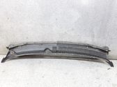 Moldura del limpia