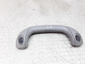 Front interior roof grab handle