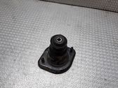 Coil spring/strut mount