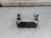 Oil filter mounting bracket