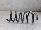 Front coil spring