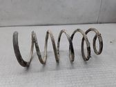 Front coil spring