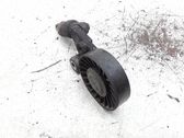 Lichtmaschine Riemenspanner Spannrolle Keilrippenriemen Keilriemen
