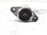 Rear coil spring rubber mount