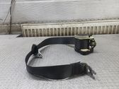 Rear seatbelt
