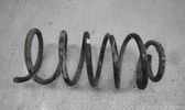 Front coil spring