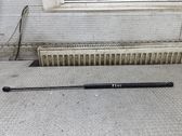 Amortiguador/puntal del capó/tapa delantero