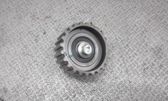 Crankshaft gear