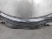 Moldura del limpia