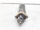 Rear shock absorber with coil spring