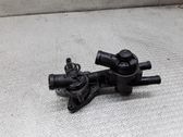 Thermostat/thermostat housing