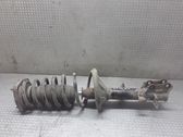 Rear shock absorber with coil spring