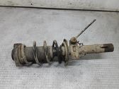 Front shock absorber with coil spring