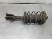 Front shock absorber with coil spring