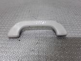 Front interior roof grab handle