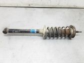 Rear shock absorber with coil spring