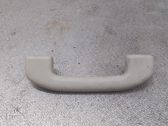 Haltegriff vorne