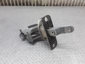 Tailgate/trunk/boot hinge