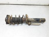 Front shock absorber with coil spring