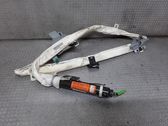 Roof airbag