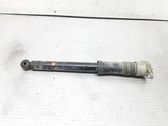 Rear shock absorber/damper