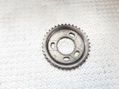 Timing chain sprocket