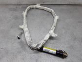 Airbag del techo