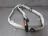 Roof airbag