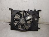 Electric radiator cooling fan