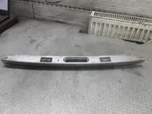 Trunk door license plate light bar