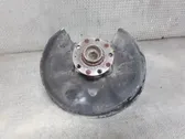 Rear wheel hub spindle/knuckle