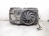 Electric radiator cooling fan