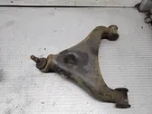 Front lower control arm/wishbone