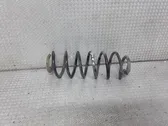 Rear coil spring